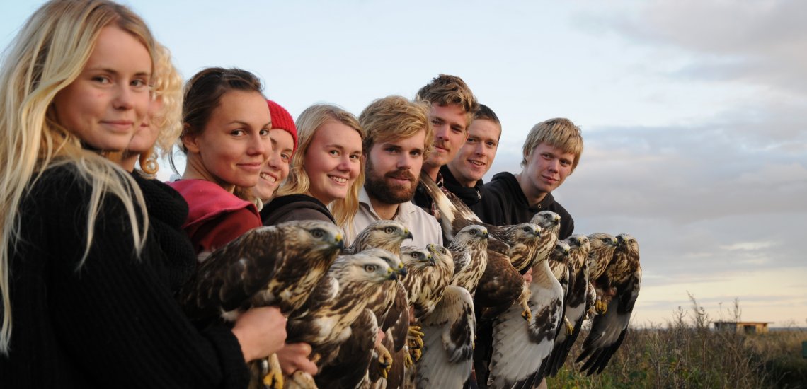 the_rooftop_on_falsterbo_bird_show_p-g_bentz