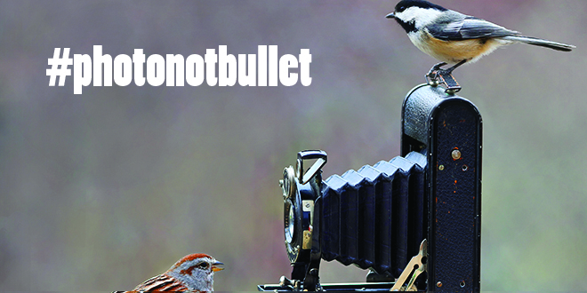 photonotbullet