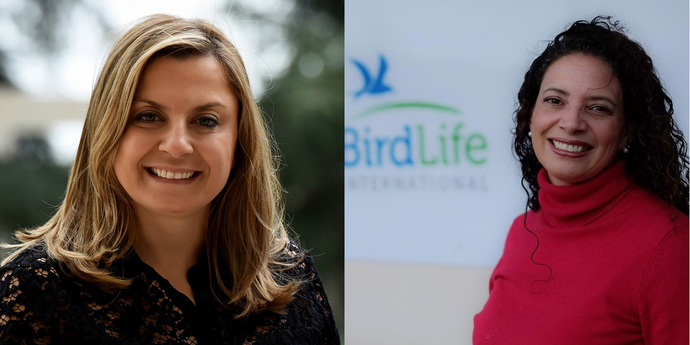 Birldlife Letter Lebanon