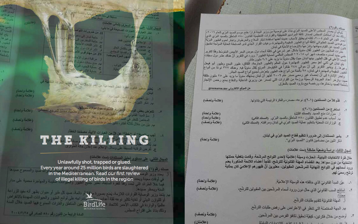 The Killing