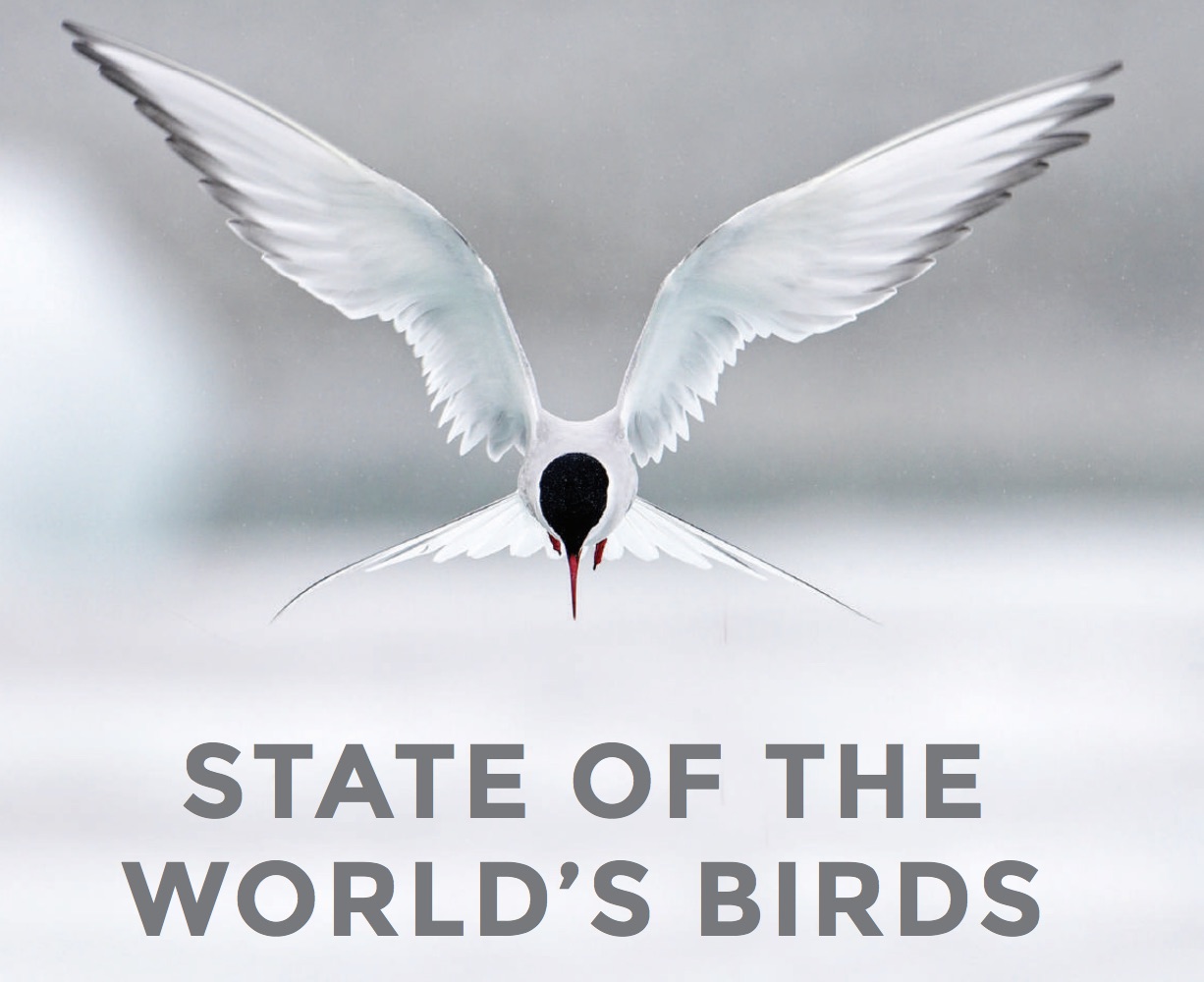 STATE OF THE WORLD’S BIRDS