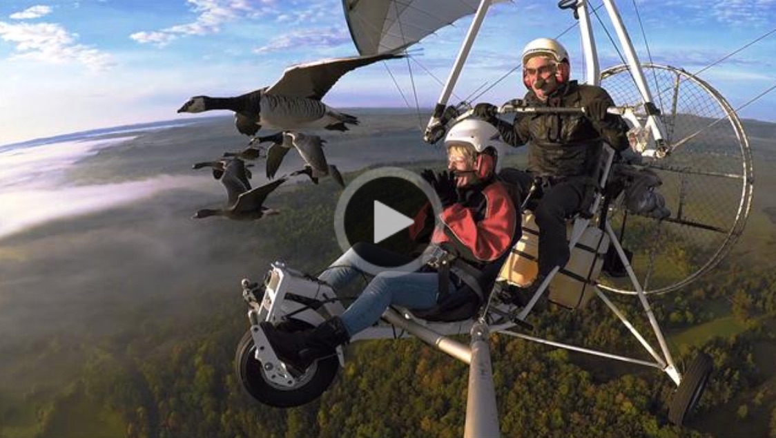 Stunning Video Shows a Man Flying With Birds
