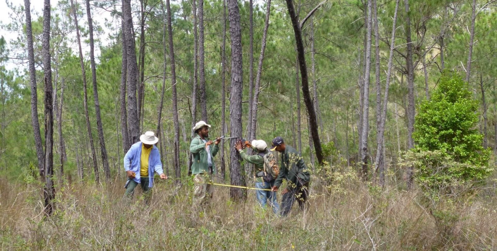 iam-carbon_transects_team_working-sierra_bahoruco-domrep_1