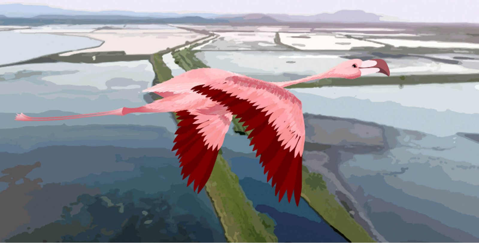 save_salina_header_1