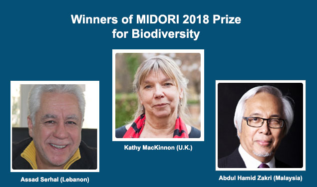 midori-prize-winners-2018