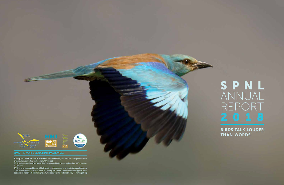 SPNL Annual Report 2018