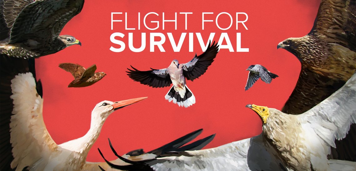 ffs_campaign_poster_20_february_c_birdlife_europe_-_flight_for_survival