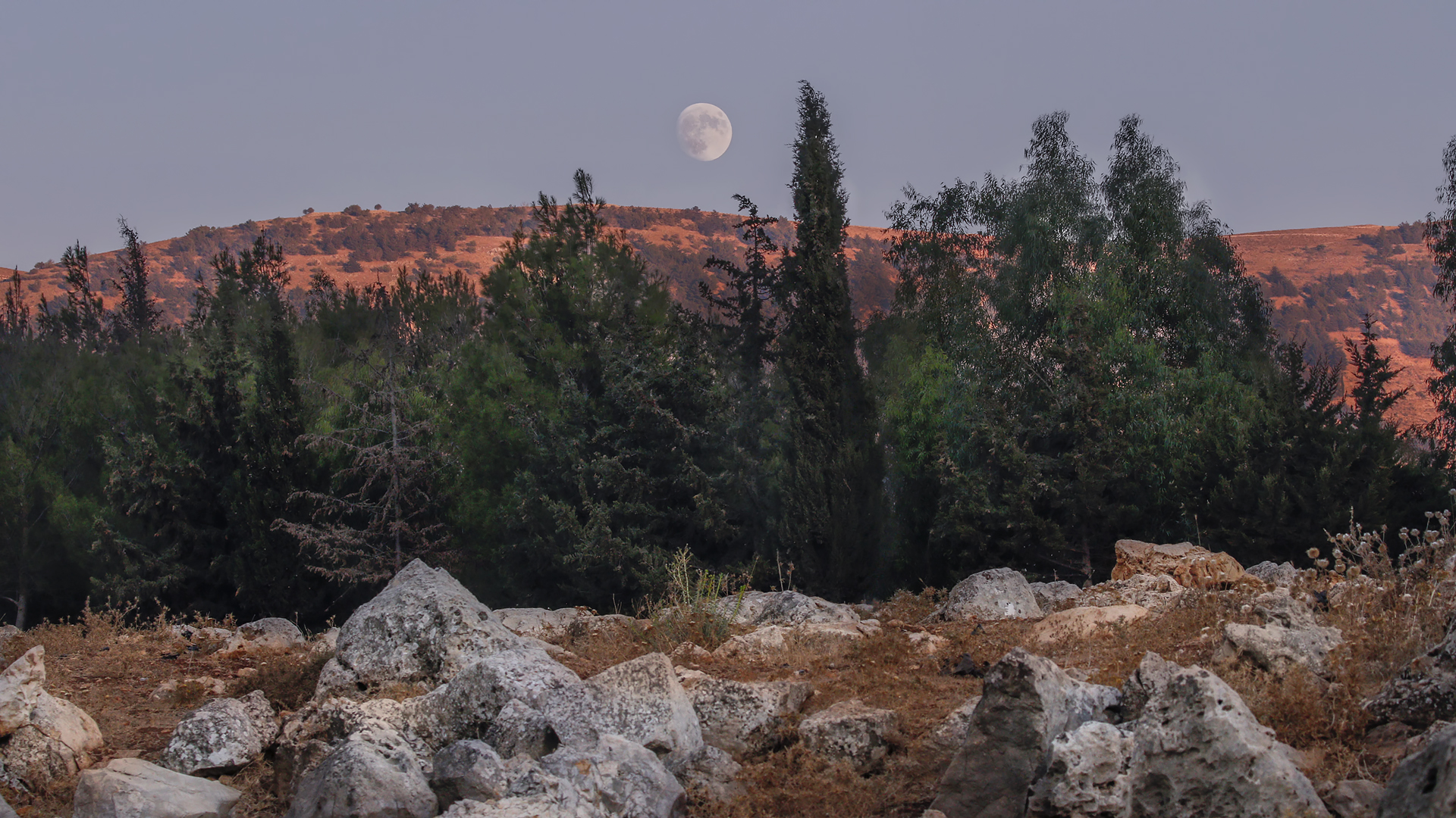 Moon Rising Bekaa Valley - Moe Haimour