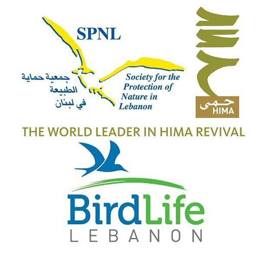 SPNL 512*512