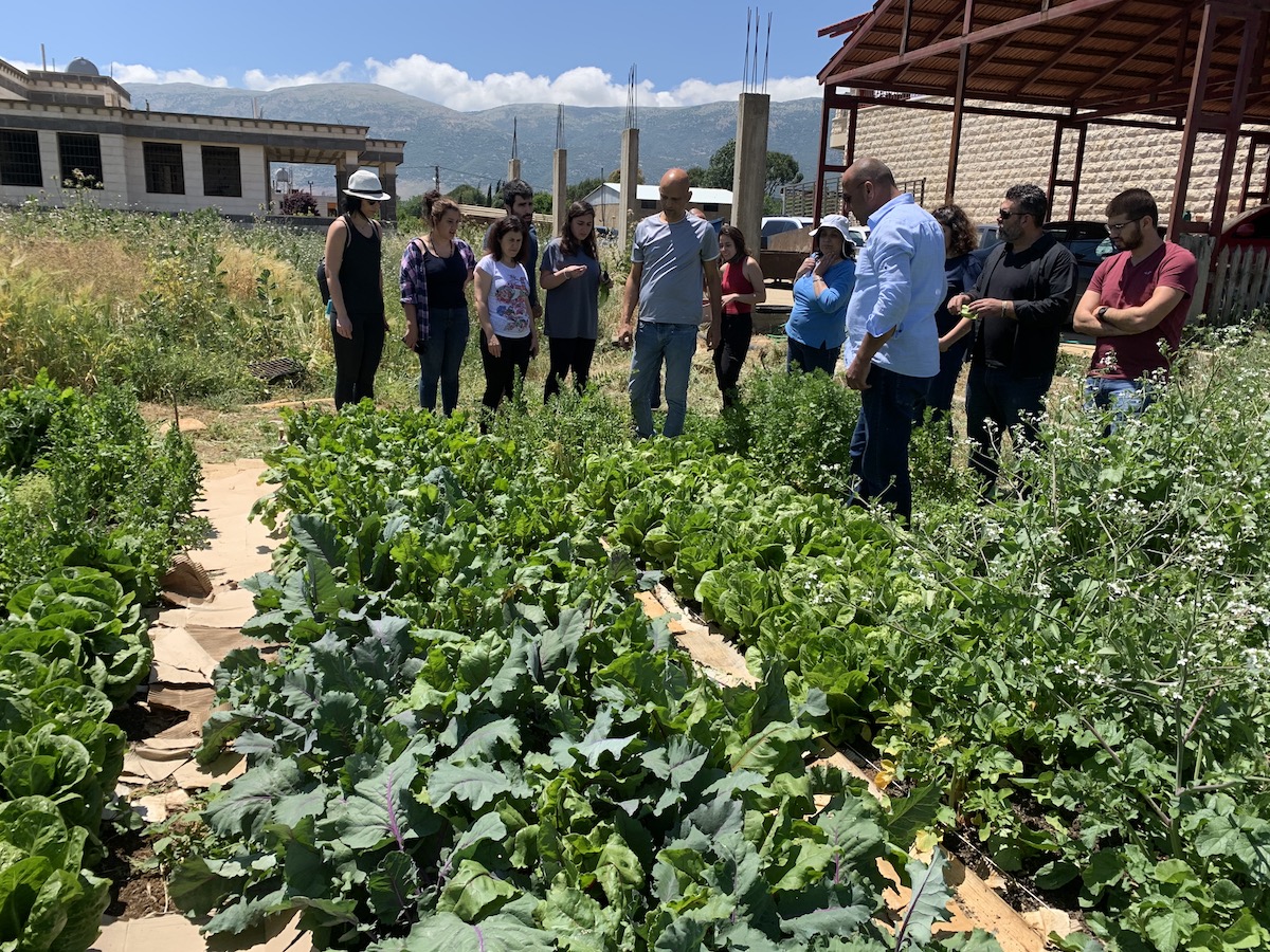 Participants visiting the Mansoura composting pilot site