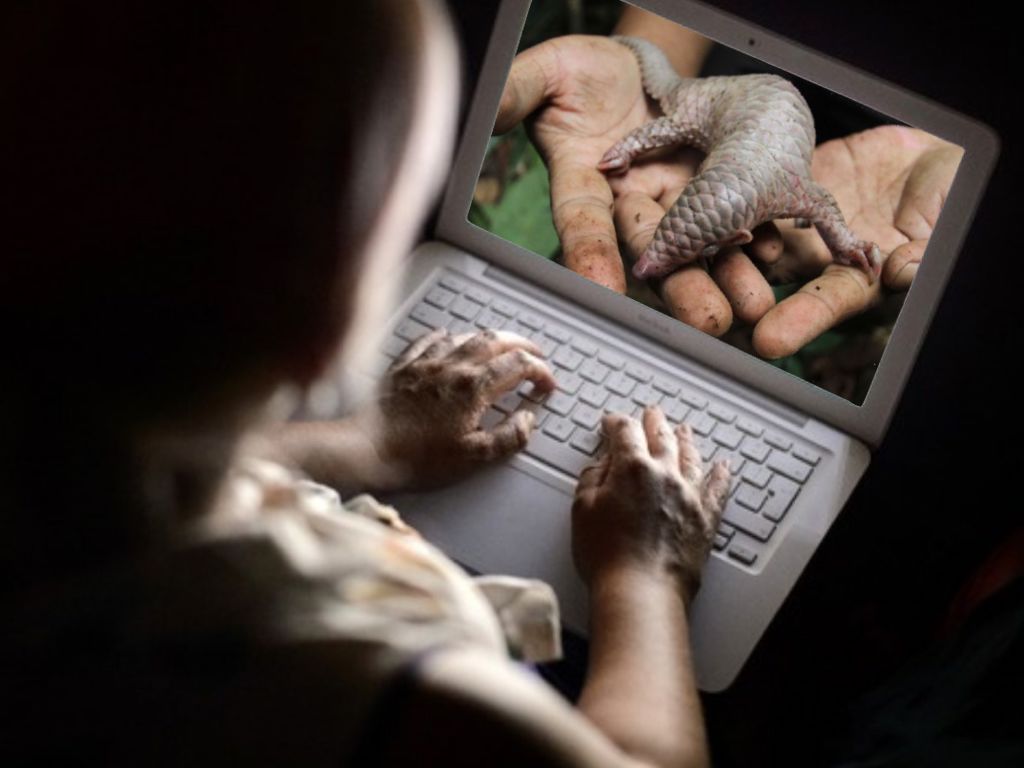 online-illegal-wildlife-trade