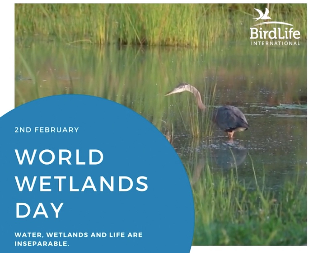 Wetlands Day 2021