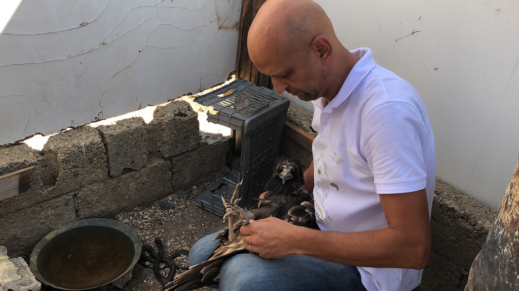 4_field_officer_maher_osta_inspecting_leg_injury_c_adonis_khatib_1