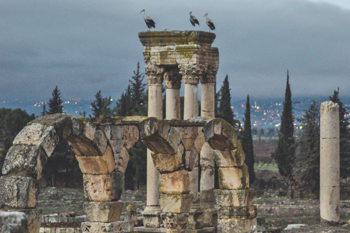 Anjar Tour