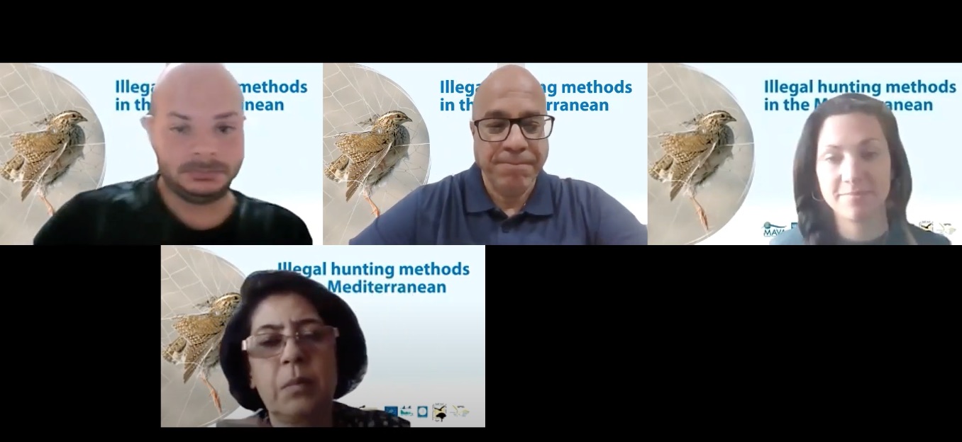 IKB Webinar
