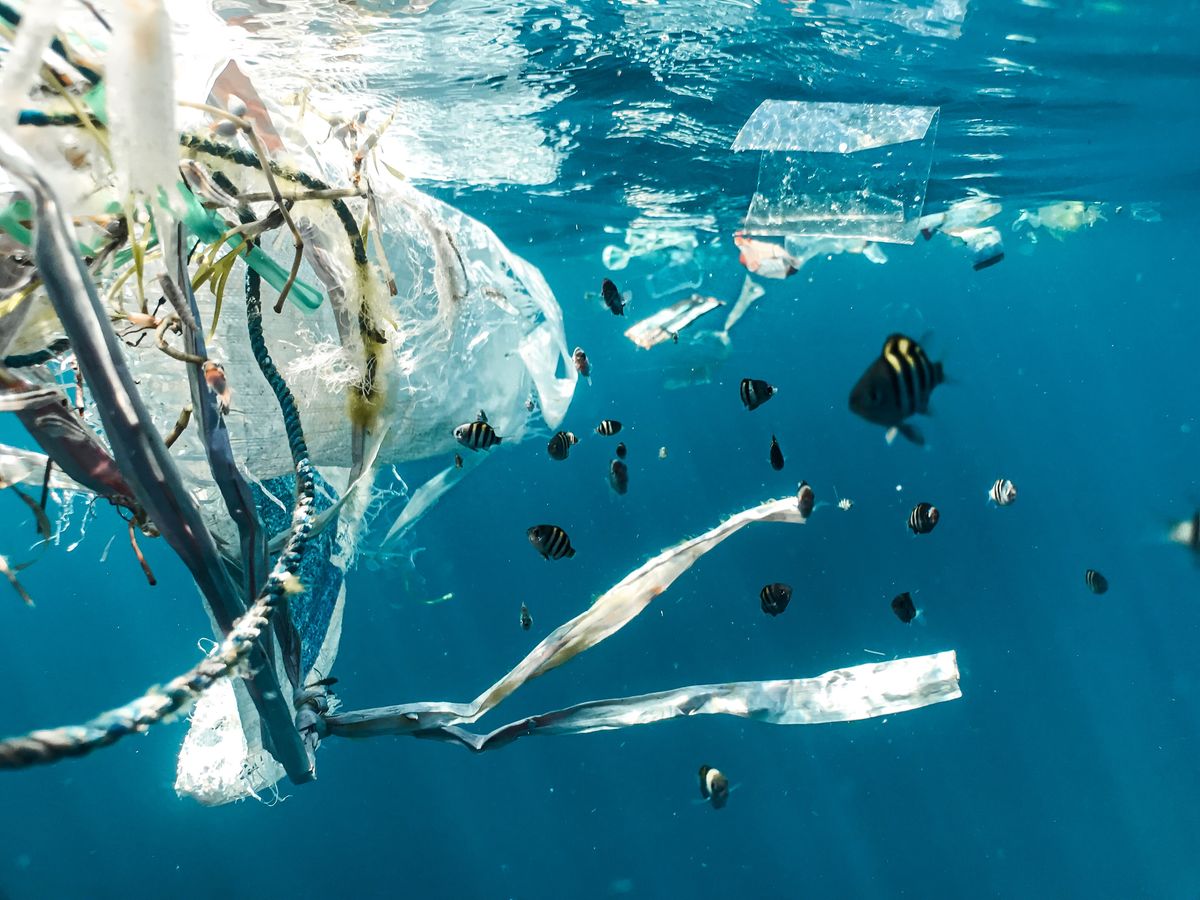 Marine Litter