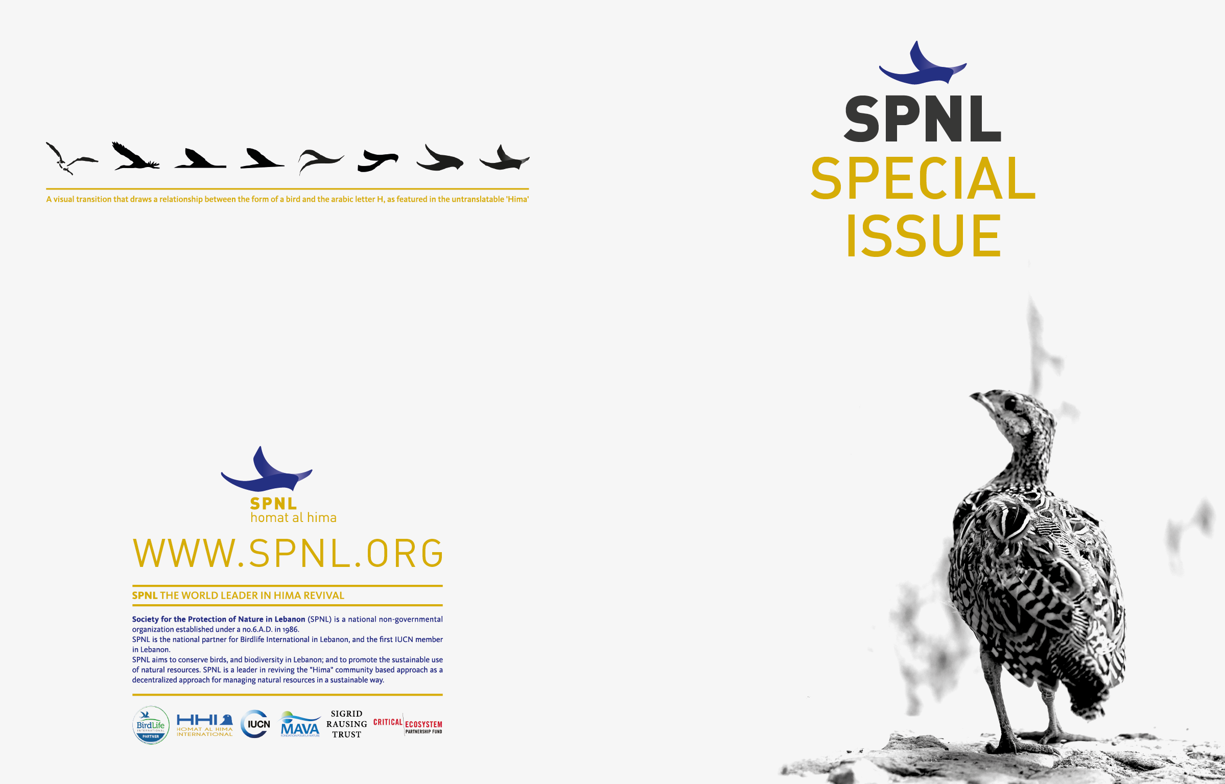 spnl-specialissue-cover-forweb