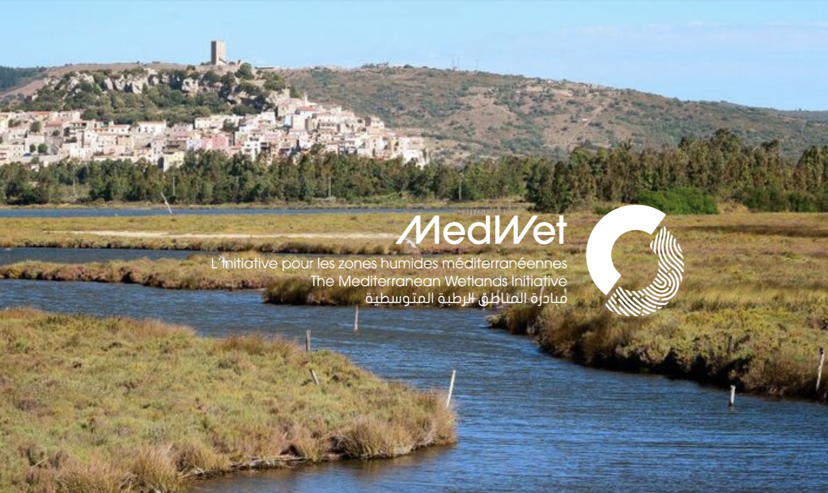 june-2022-medwet