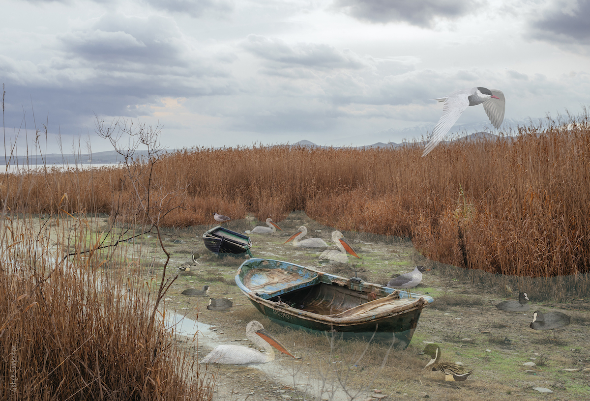 Lake Marmara_Drawing_ Gökçe Sümerkan