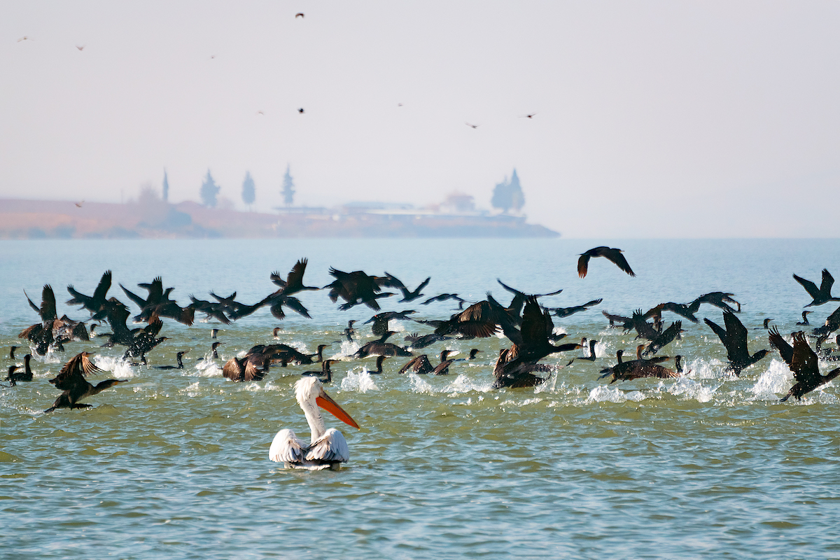 Lake Marmara_Photographer_ İsmail Memiş(2)