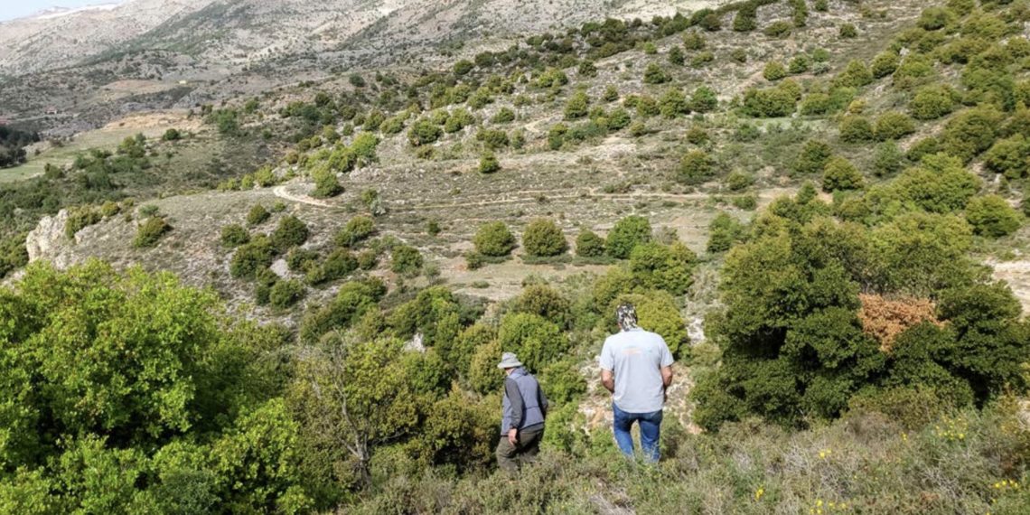 Biodiversity Monitoring whith the engagement of the local community to increase their caapcity and benefit from their knowledge of the area