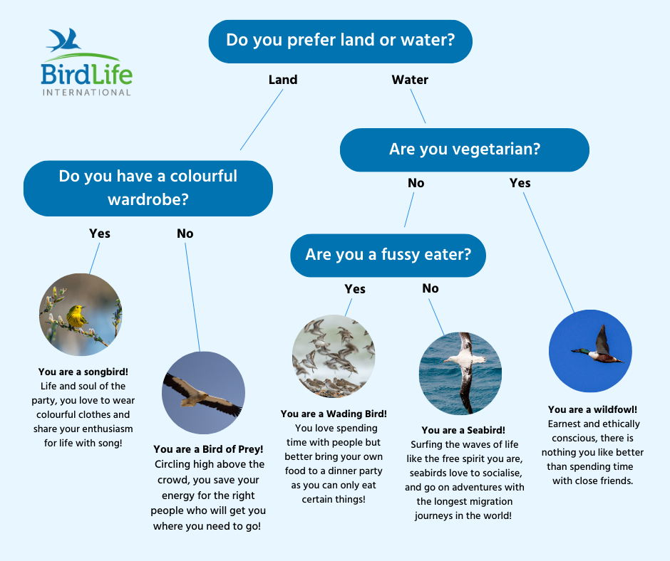 NEW_Which_migratory_bird_are_you_(Facebook_Post_(Landscape))