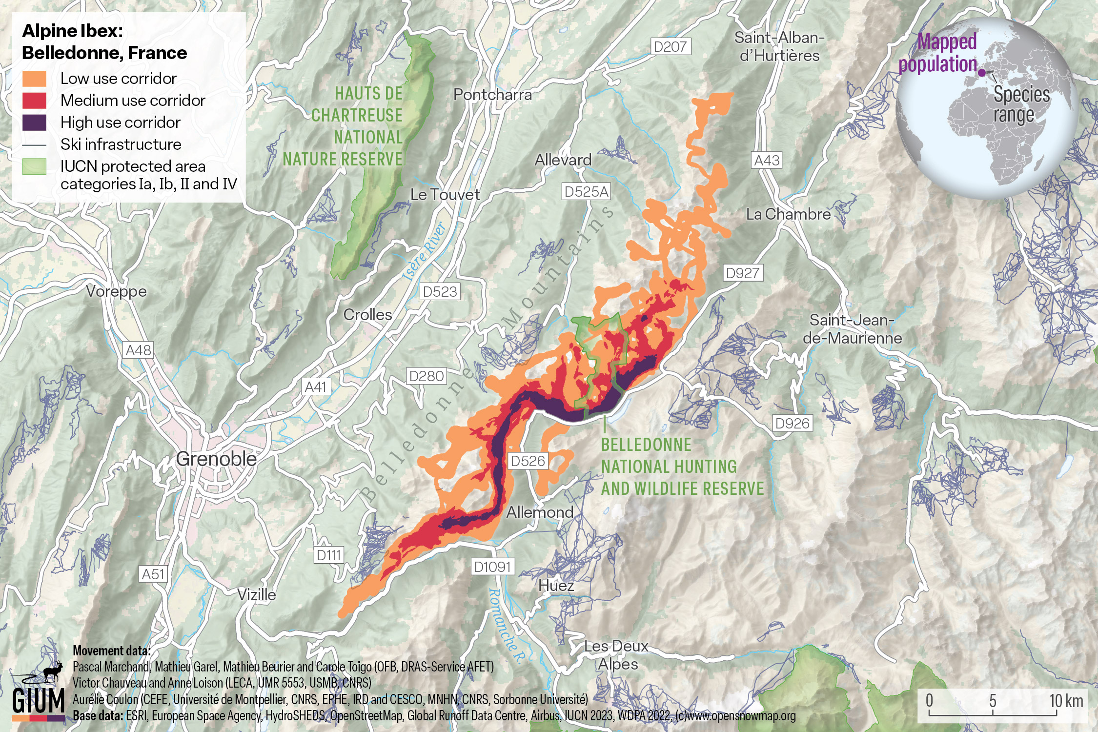 GIUM works with data providers to spatially represent specific threats or barriers facing the migratory ungulate populations. For the alpine ibex, climate change poses the greatest threat to their migrations. As the snow pack changes, ski infrastructure and human recreation may move up in elevation, potentially constraining ibex’s migratory movements and making these maps important to guide future development.