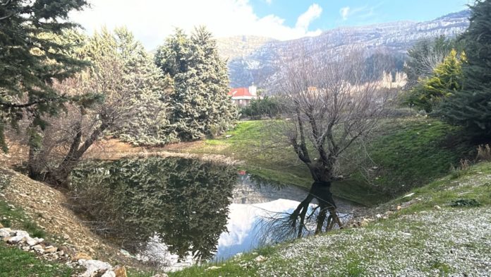 Hima Farm Hammana (6)