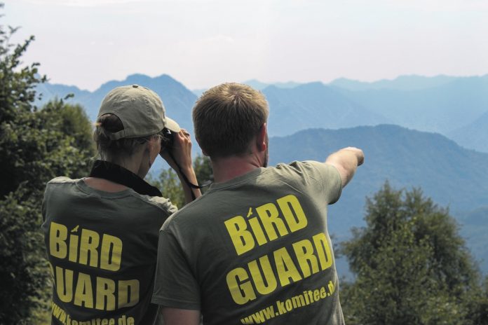 1 Italy Bird Guards