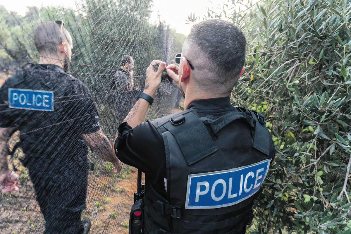 Cypriot police dismantle illegal nets