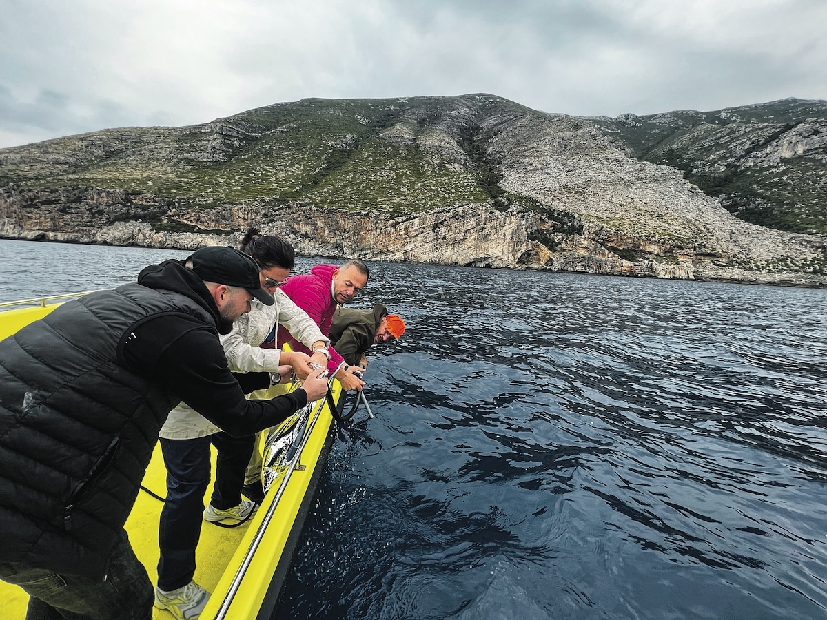 GFM researchers monitoring Mediterranean monk seals in Italy