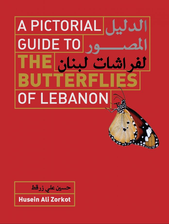 A-Pictorial-Guide-to-the-Butterflies-of-Lebanon-a