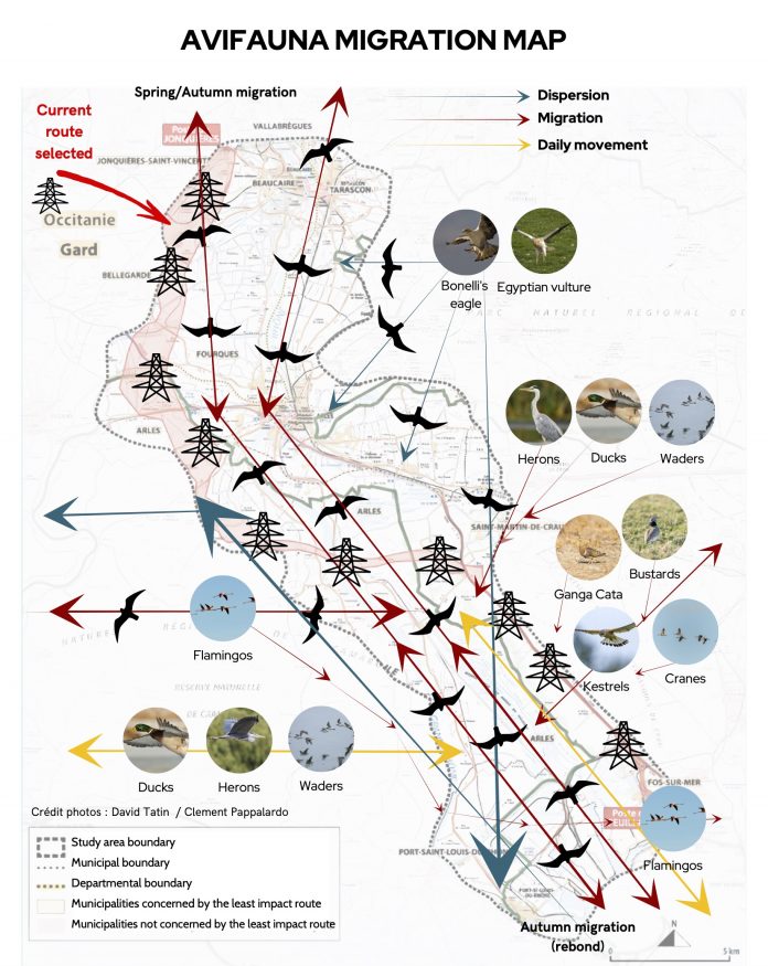 AVIFAUNA MIGRATION MAP