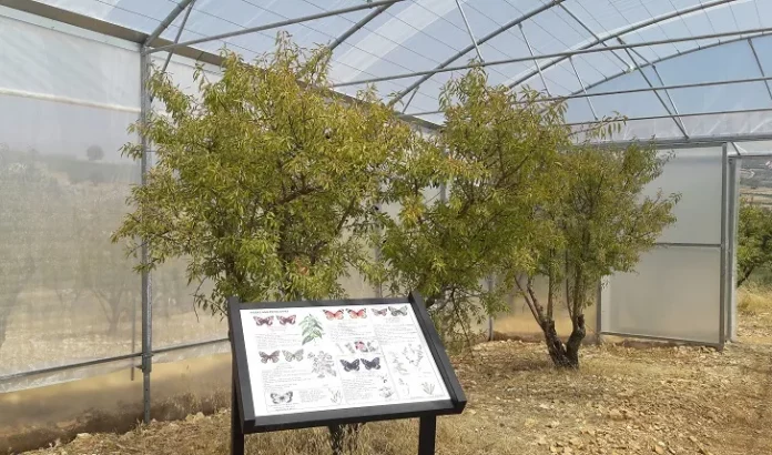 Greenhouse-construct-Husein-Zorkot