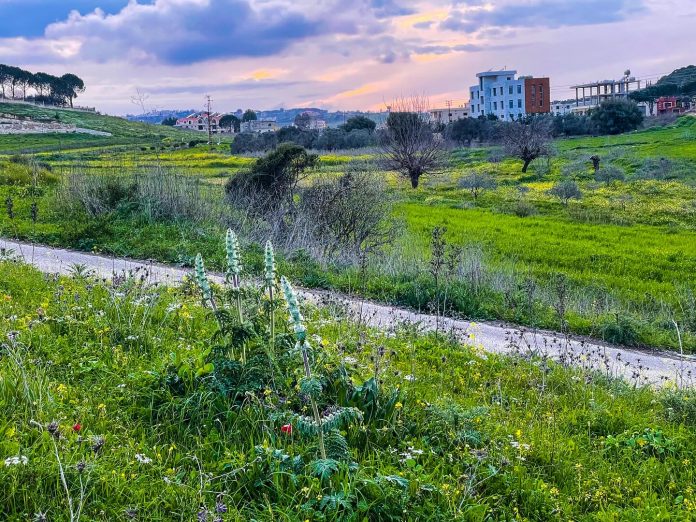 Hima Ebl Al Saqi