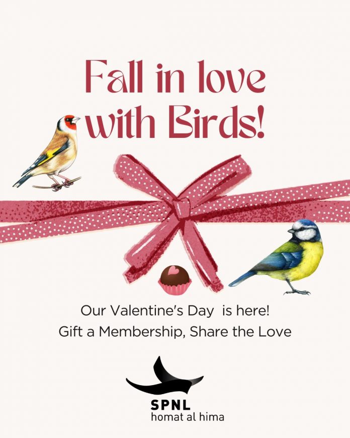 Pink Modern Gift Sale Valentine's Day Instagram Post