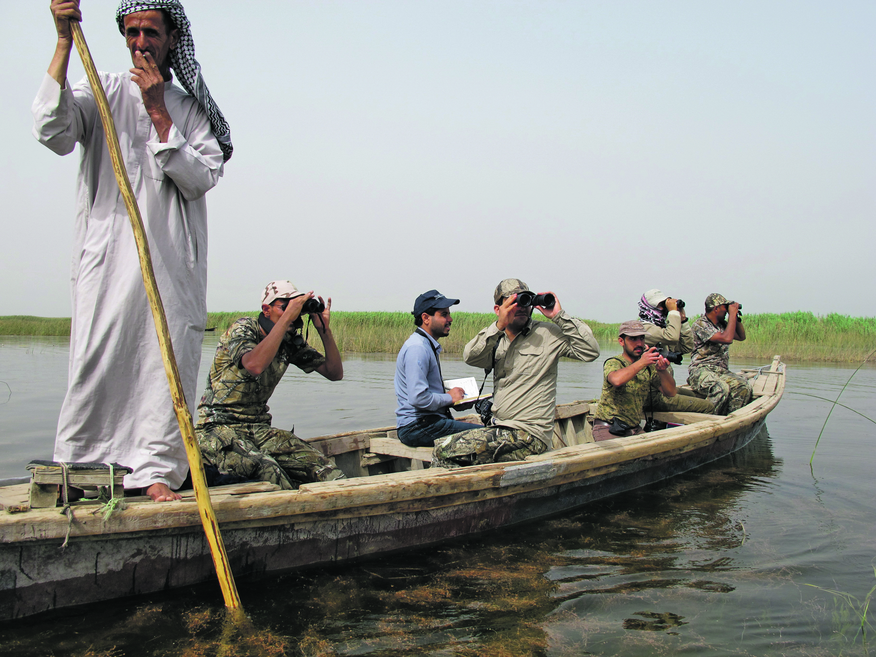 Nature Iraq studying wildlife in the Iraq Marshes