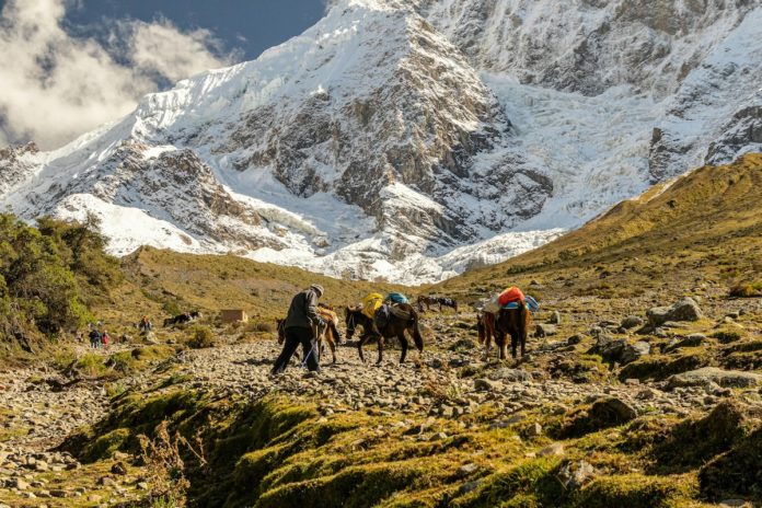 men_with_horses Joel Alencar/Pexels.com People traveling with horses across a mountain valley in Peru.