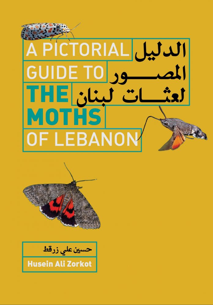 pictorialguidemoths