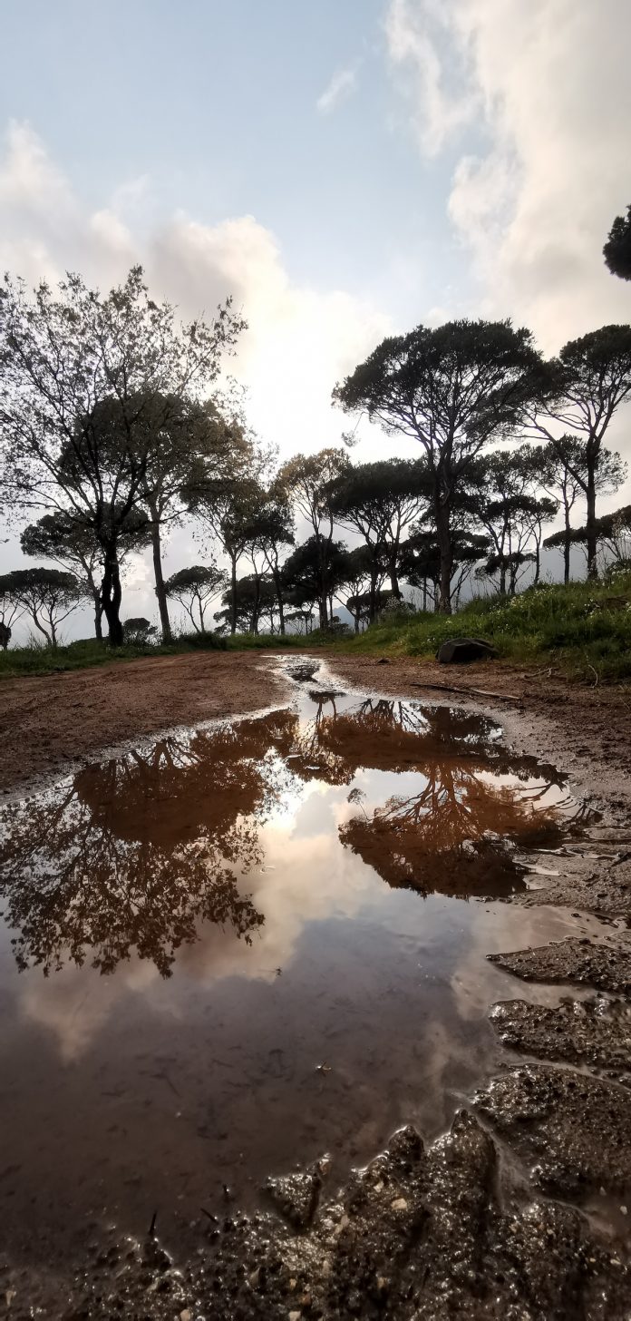 Hima Btekhnay, Lebanon’s first Endowment Hima—a traditional community-managed nature reserve and the 34th Hima in Lebanon. Hima Btekhnay, Lebanon’s first Endowment Hima—a traditional community-managed nature reserve and the 34th Hima in Lebanon.