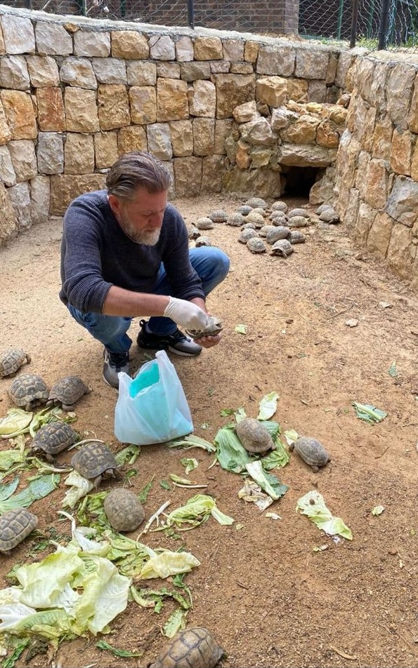 Zaher Aridi, has been involved in conservation efforts at the Chemlan Biblical Garden, focusing on the care of Greek tortoise