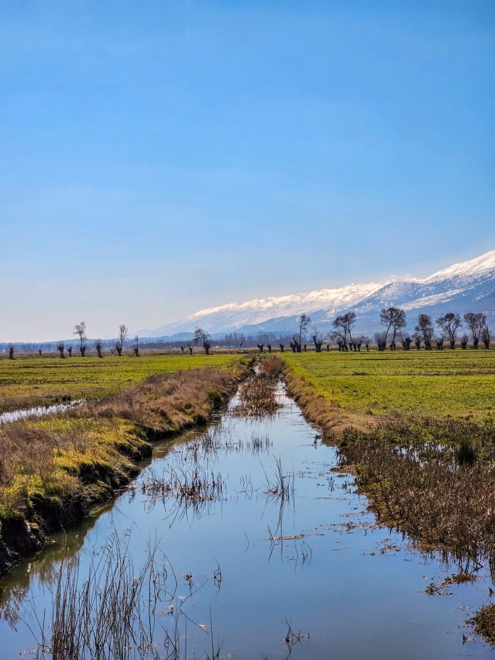 "Aammiq Wetland, one of the last remaining freshwater wetlands in Lebanon, serves as a vital stopover for migratory birds and a haven for biodiversity in the Bekaa Valley." Photo credit:Spyro Klitira "Aammiq Wetland, one of the last remaining freshwater wetlands in Lebanon, serves as a vital stopover for migratory birds and a haven for biodiversity in the Bekaa Valley." Photo credit:Spyro Klitira