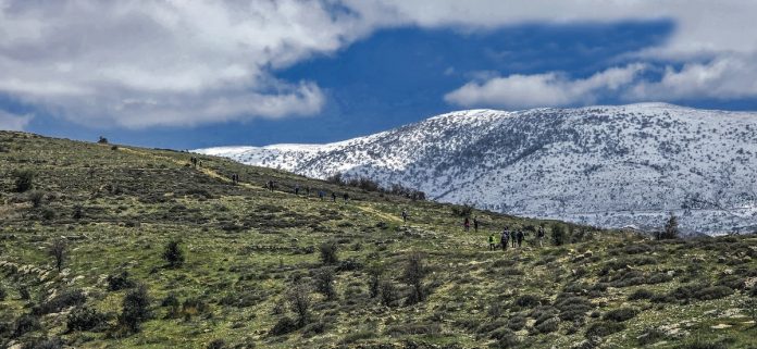2 Hamada IMG-20250323-WA0127 (1)