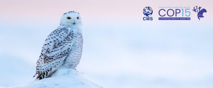 Untitled design (7)