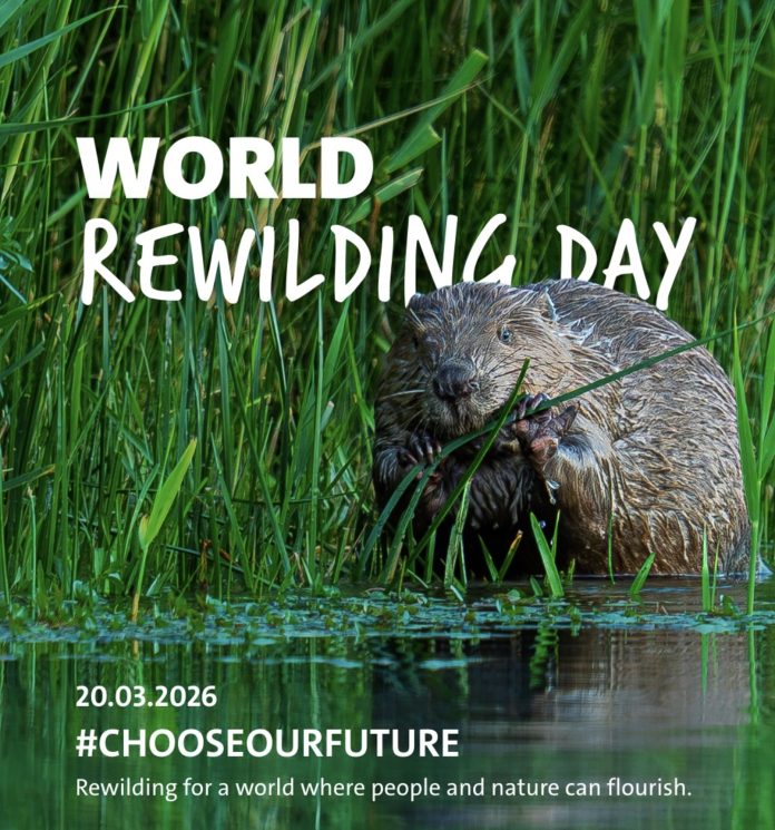 Screenshot This was World Rewilding Day, a global call not just to protect nature, but to bring it back to life.