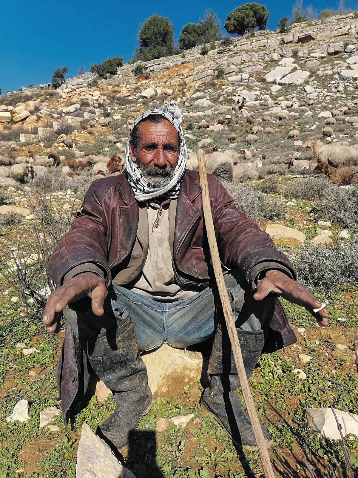 A shepherdon the way