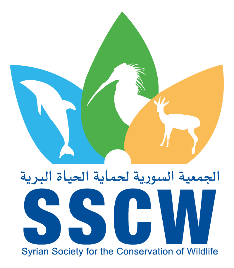Partner Logo
