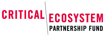 CEPF Logo